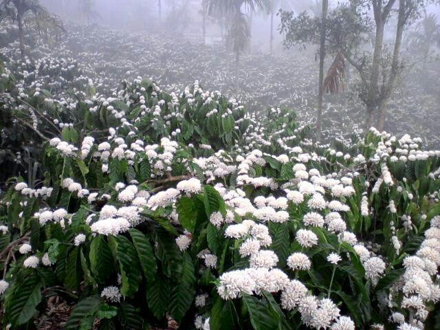 RainHills Holiday Home主图