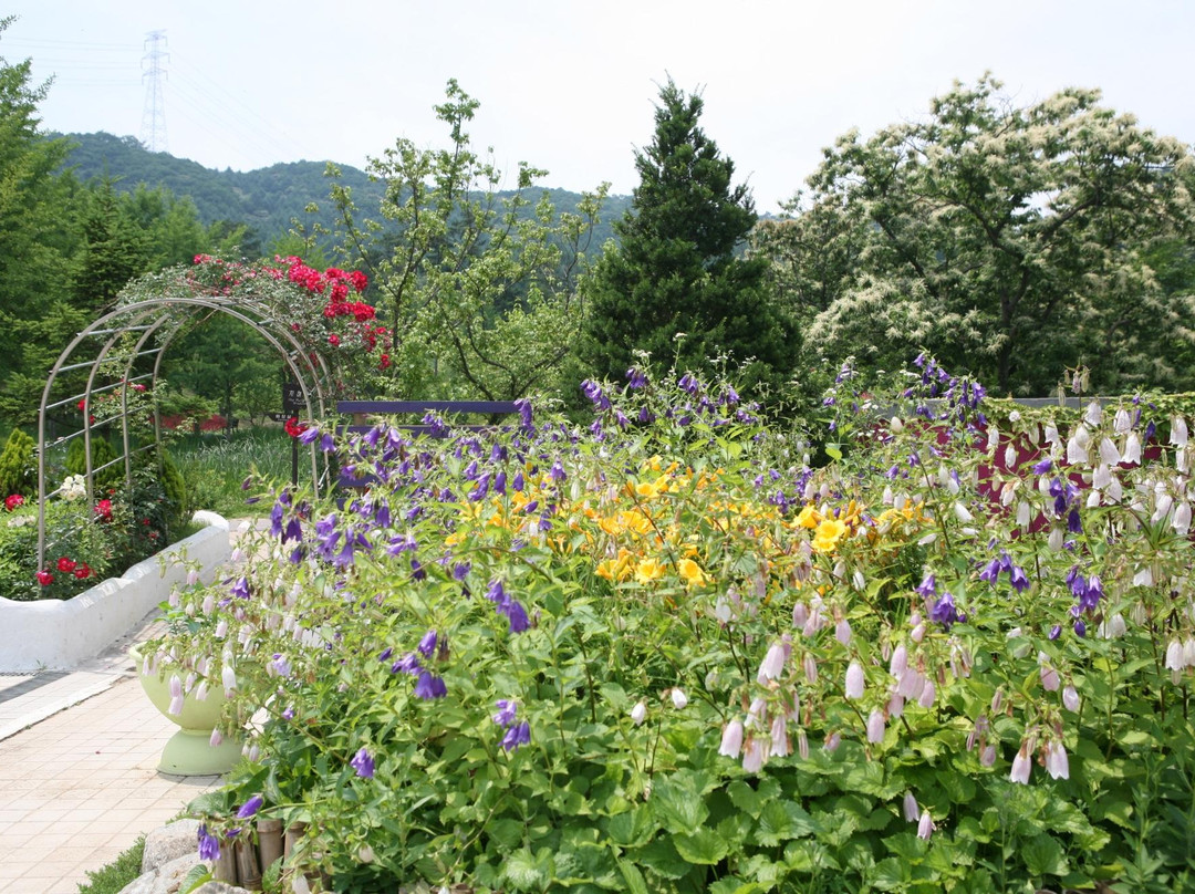 Haeyeorim Botanical Garden-骊州郡必去景点