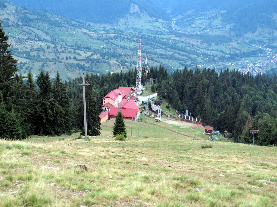 Alpina Blazna