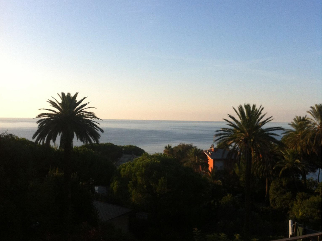 Hotel Villa Flora主图