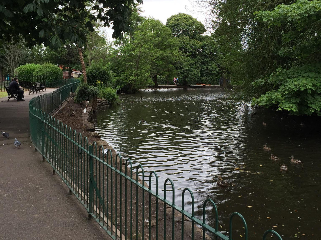 Elmore park景点图片