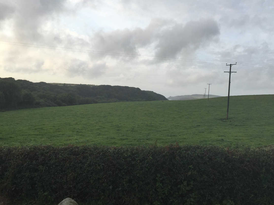 Preseli Venture