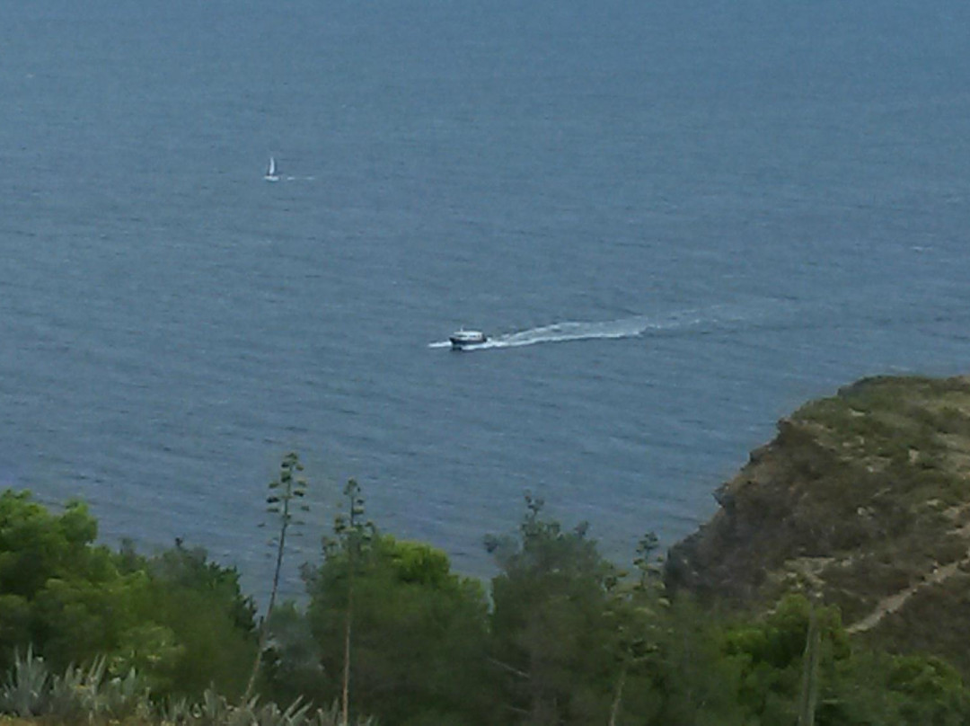 Plongée Cap Cerbère-Cerbere必去景点