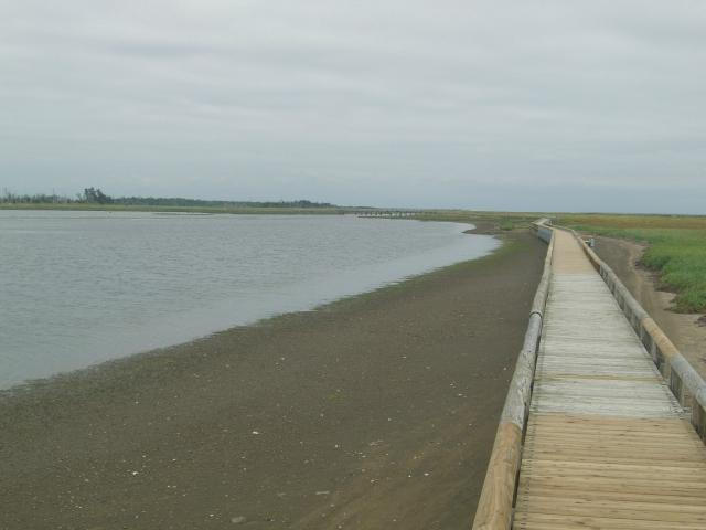 根室市春国岱原生野岛公园-根室市必去景点
