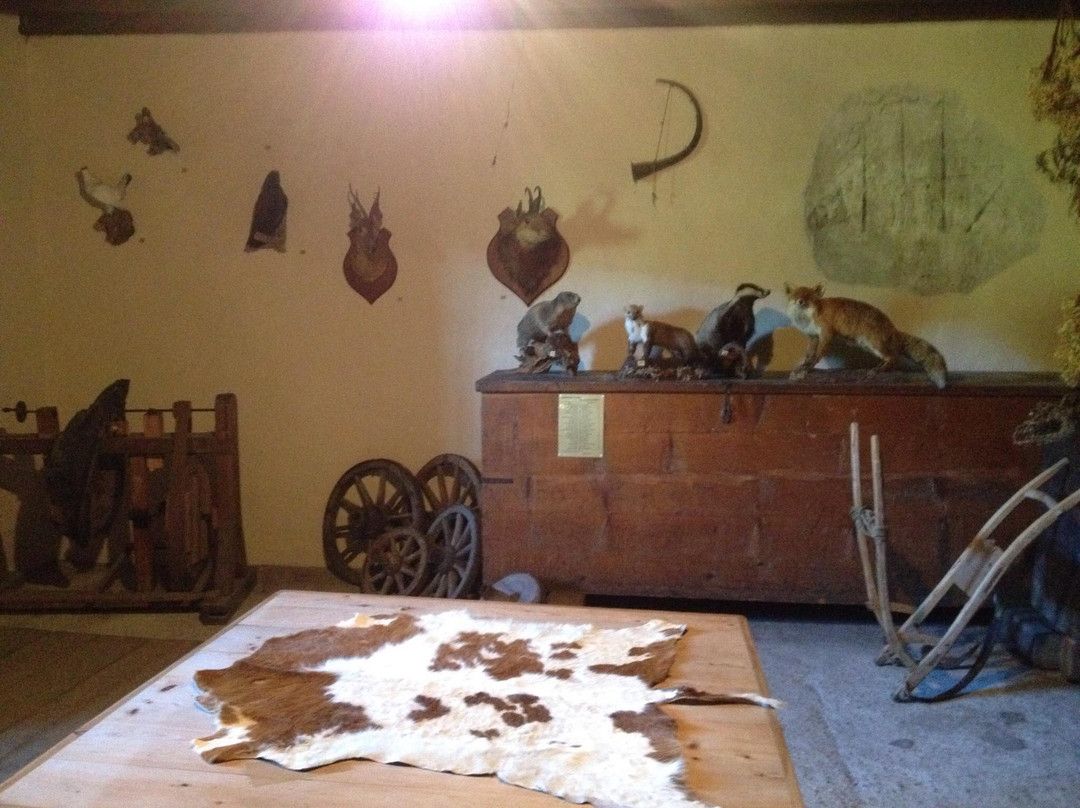 Castel Welsperg-蒙圭尔福-泰西多必去景点