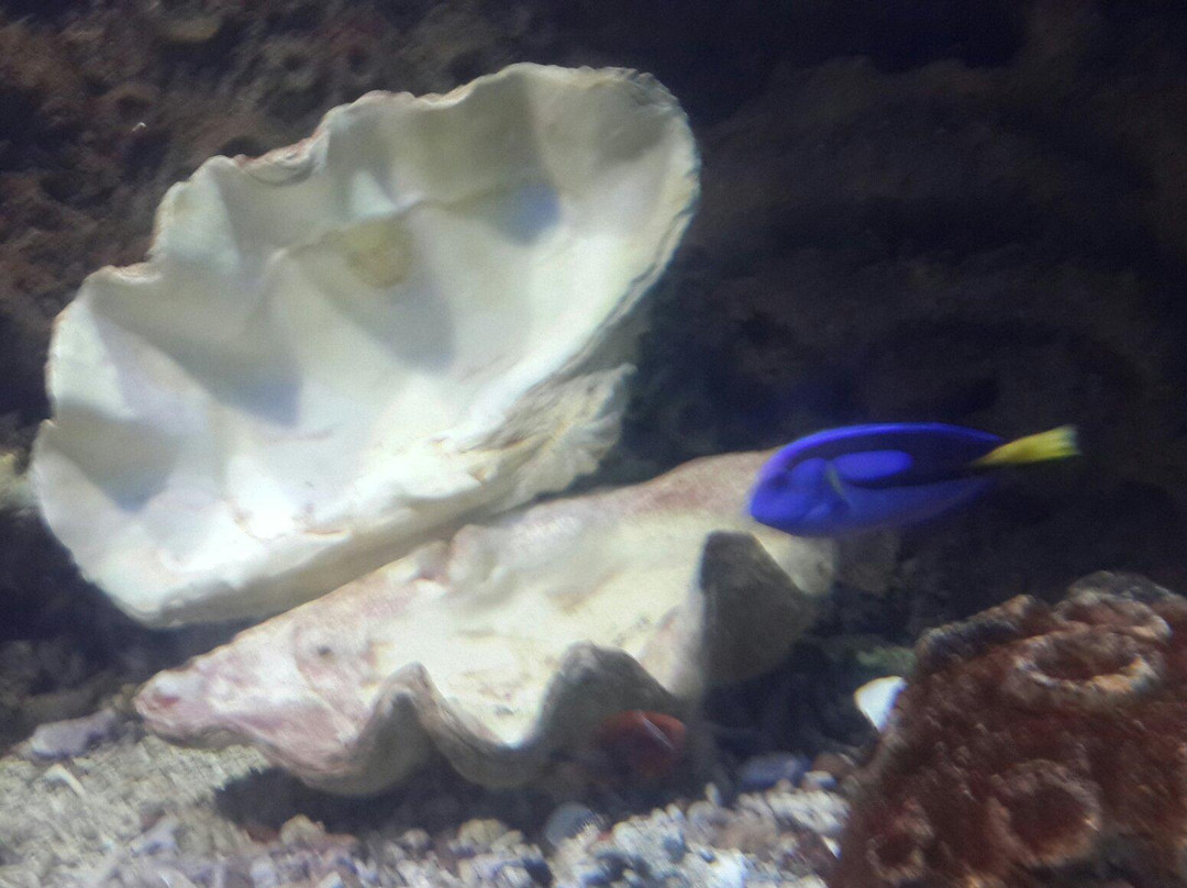 新澳海底世界-秦皇岛市必去景点