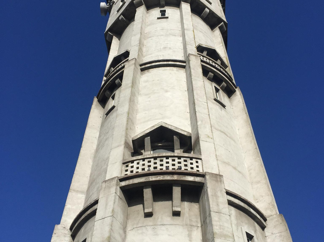 Hawera Water Tower景点图片