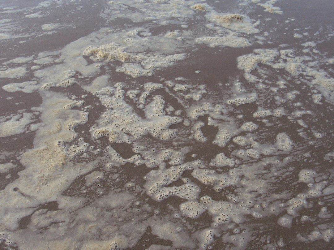 Khao Laem Ya National Park - Samet Islands-Phe必去景点