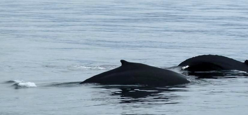 Motel le Noroit主图