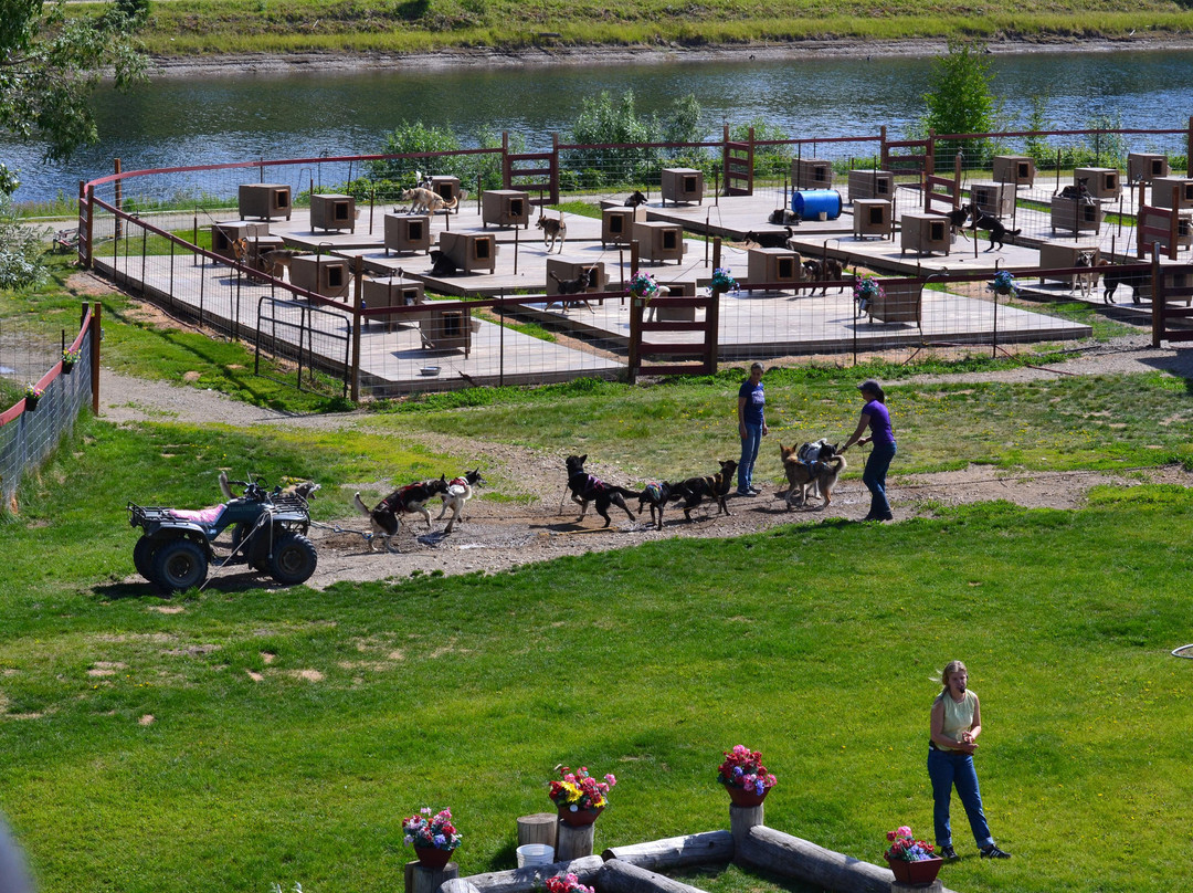 Trail Breaker Kennel-费尔班克斯必去景点