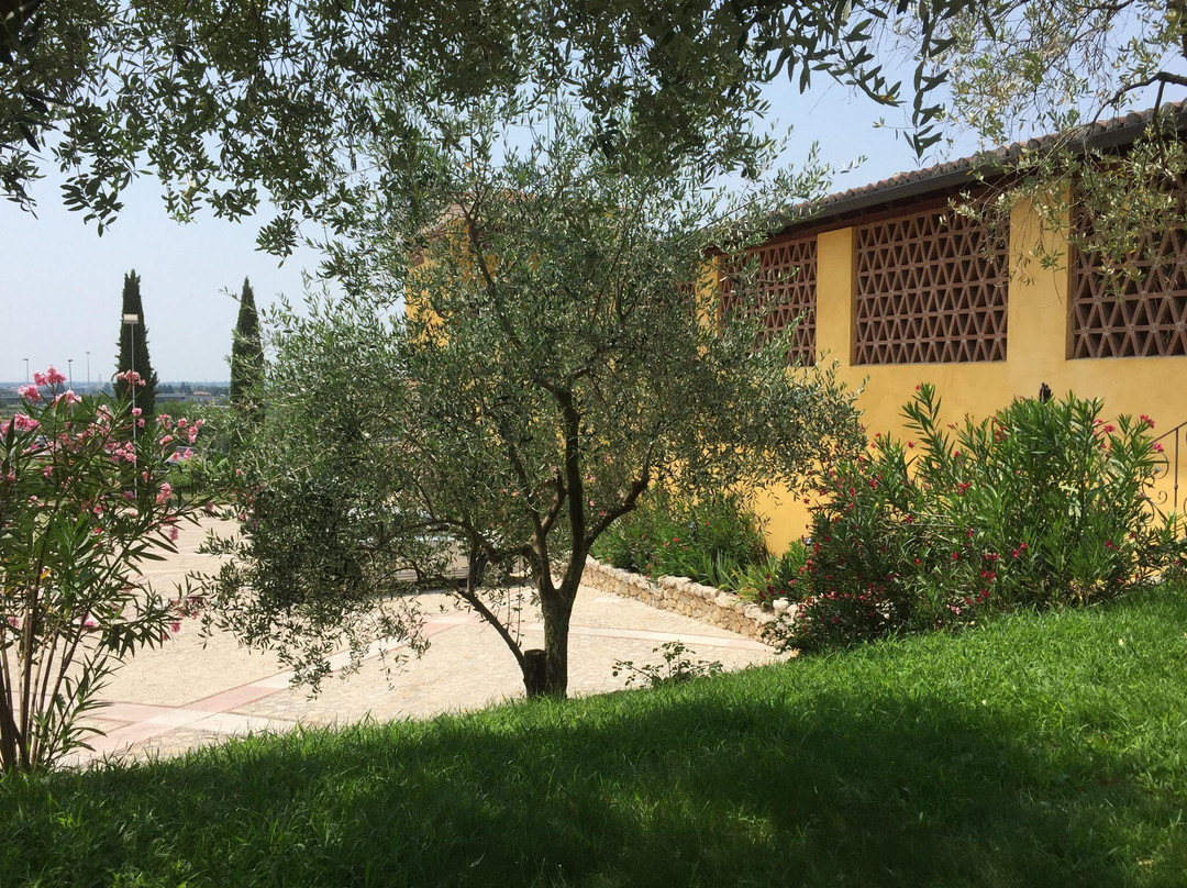 Azienda Agricola Monte Tondo-Soave必去景点