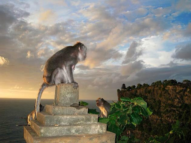 Bintang Tour Kuta - Day Tours-库塔必去景点