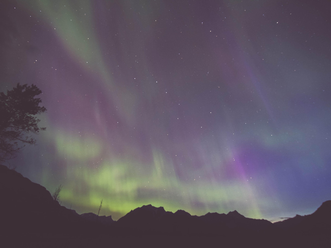 The Jasper Planetarium-贾斯珀必去景点