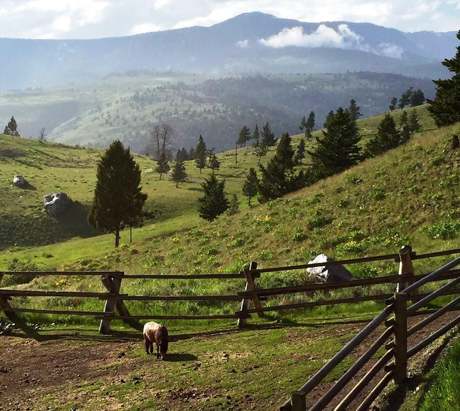 Hell's A-Roarin' Outfitters-加德纳必去景点