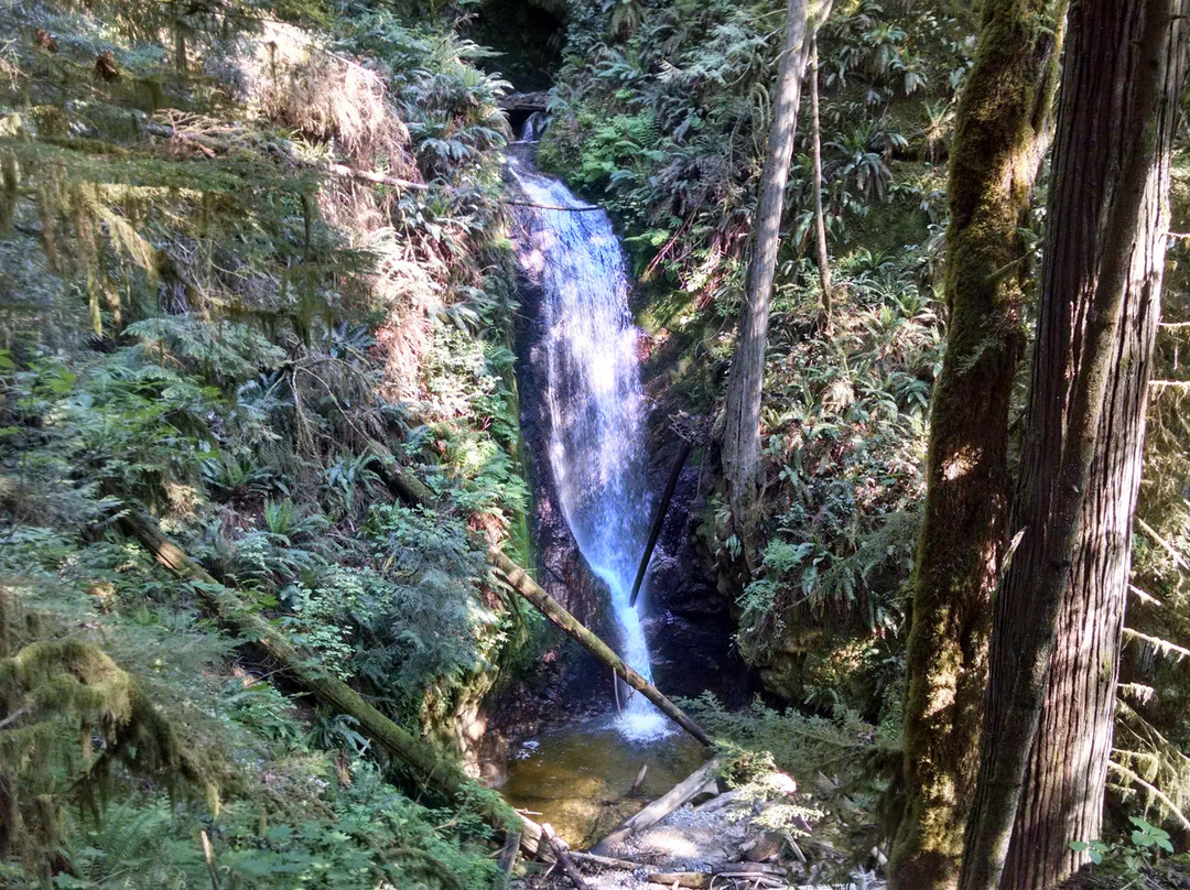 Burnett Falls Park-Sechelt必去景点