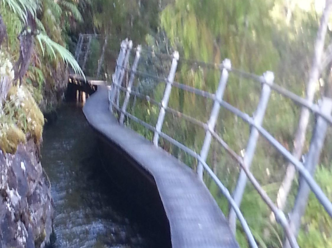 Pupu Hydro Walkway景点图片