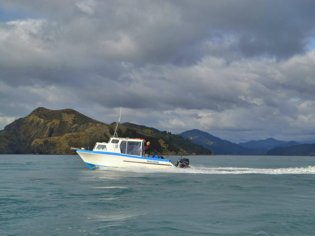 Waikawa Dive Centre景点图片