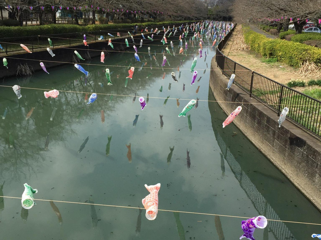 Tsuruuda River景点图片
