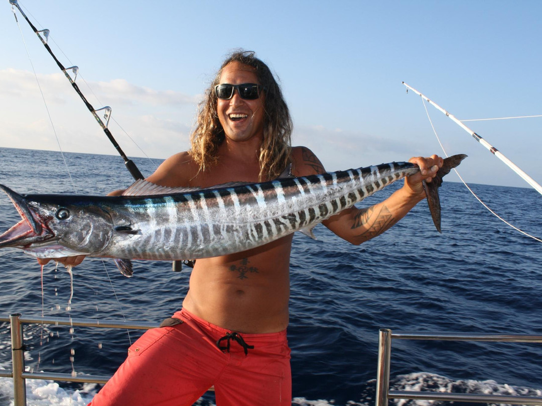 No Problem Charters-科卡哈必去景点