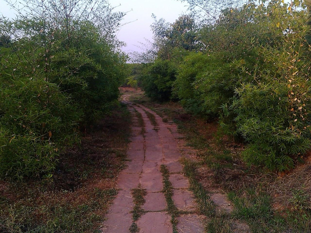 Jagriti Park景点图片
