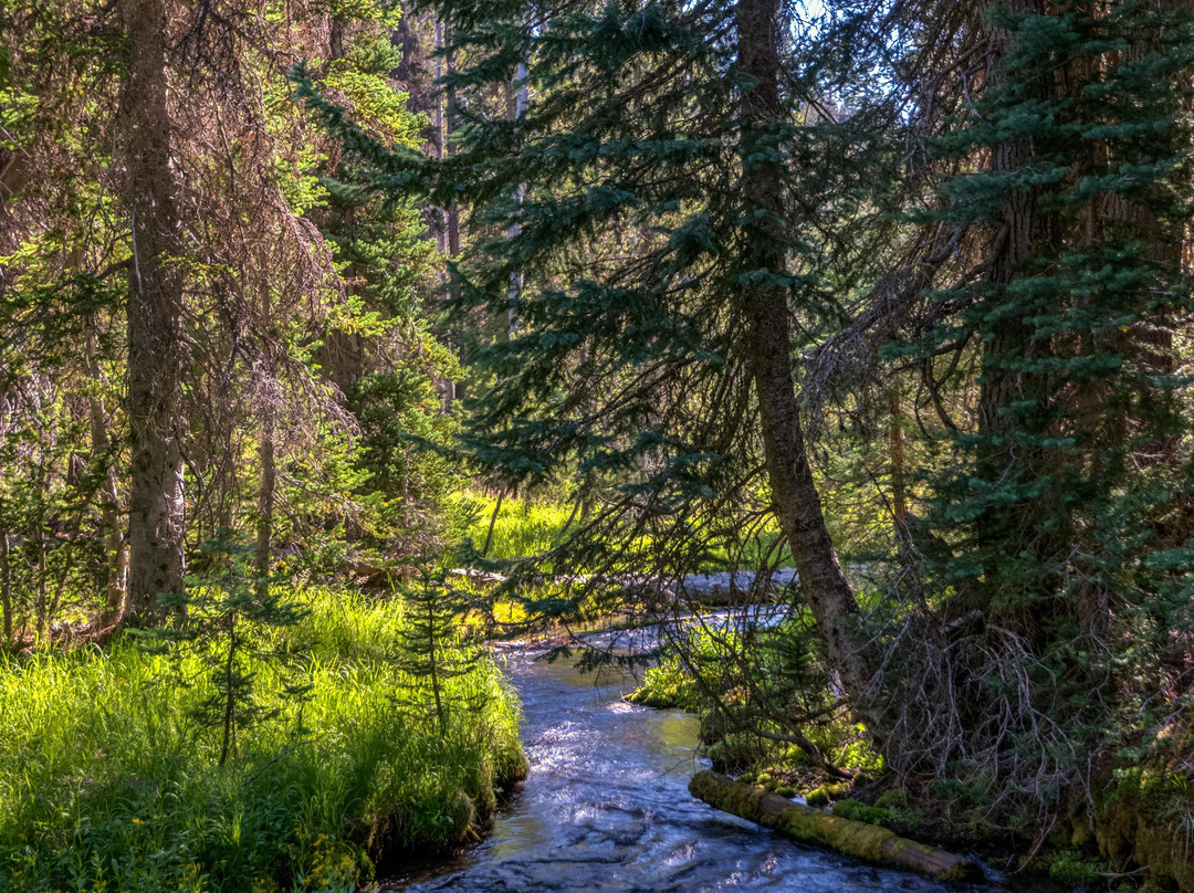 Annie Creek Canyon景点图片