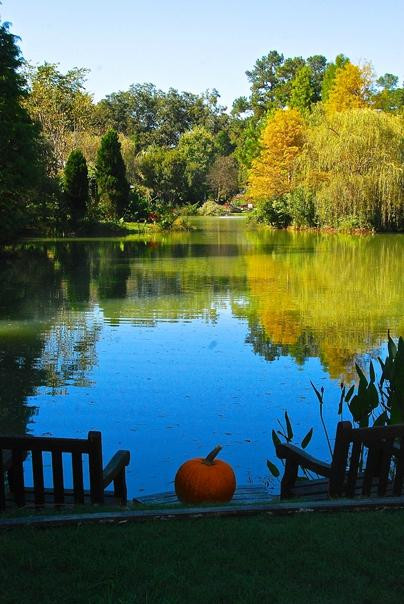 Moore Farms Botanical Garden景点图片