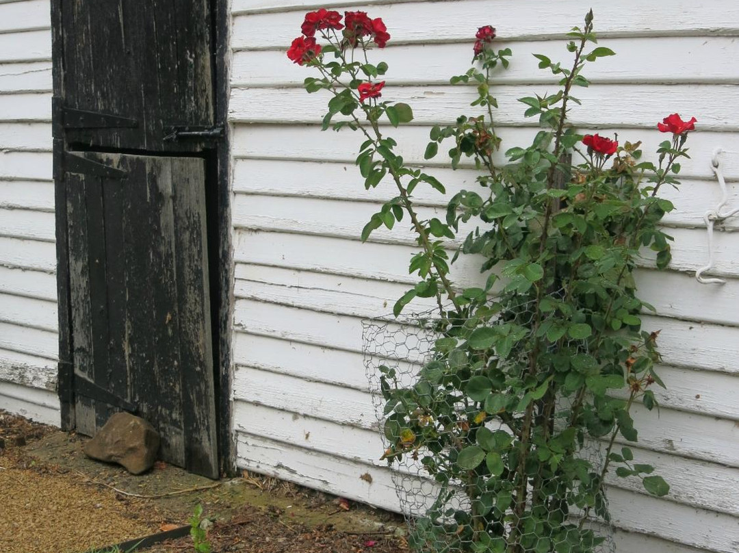 Bespoke Tasmania-霍巴特必去景点