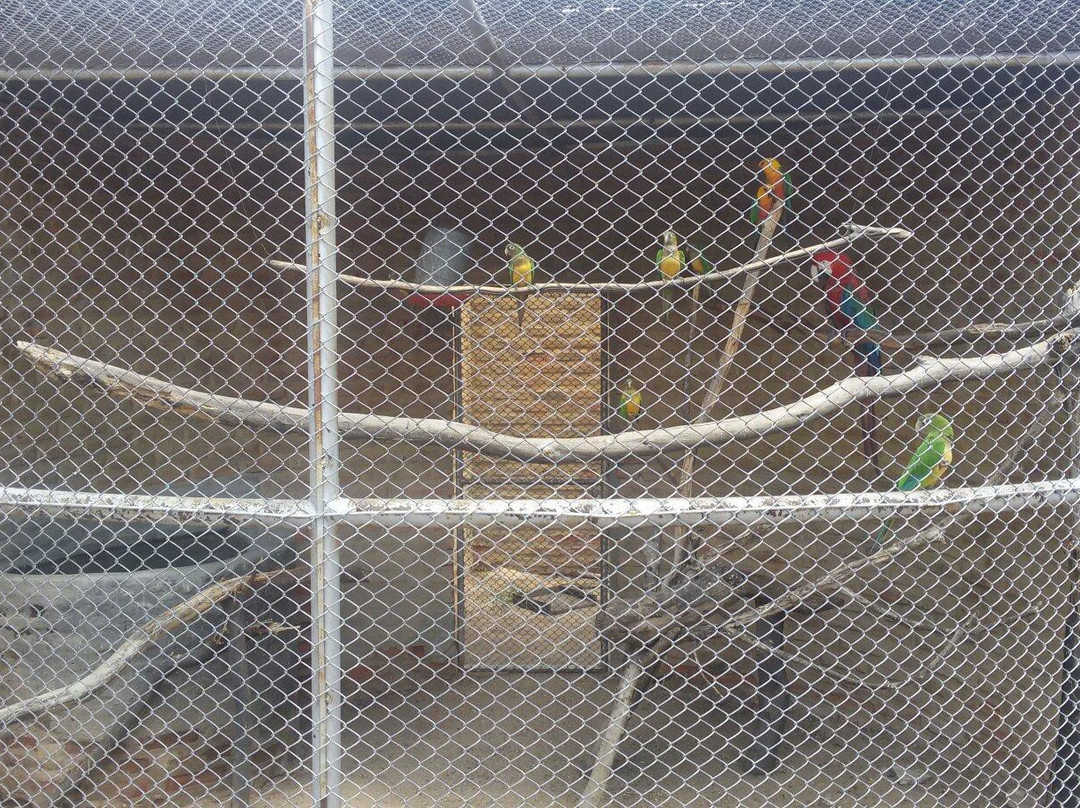 Parque Zoo-botanico da Caatinga-Petrolina必去景点