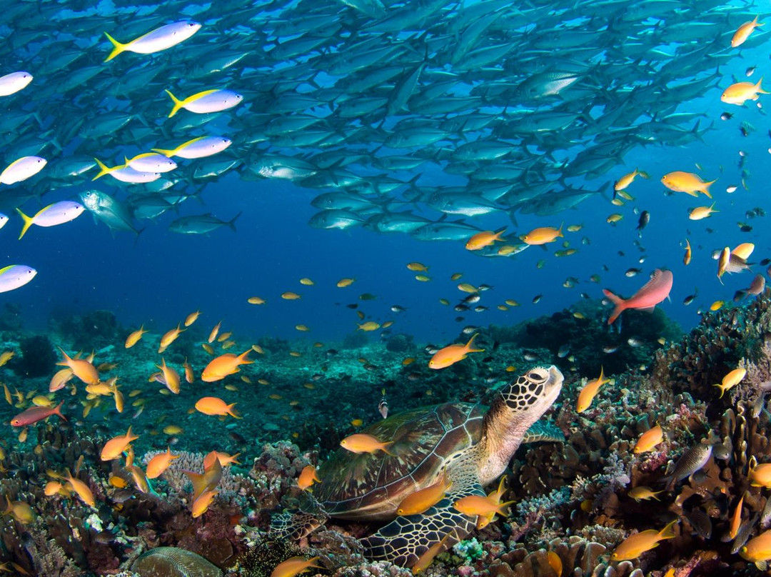 Alcoy Fun Divers-Alcoy必去景点