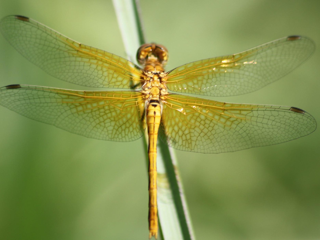 Riverbank Discovery Centre-布兰登必去景点