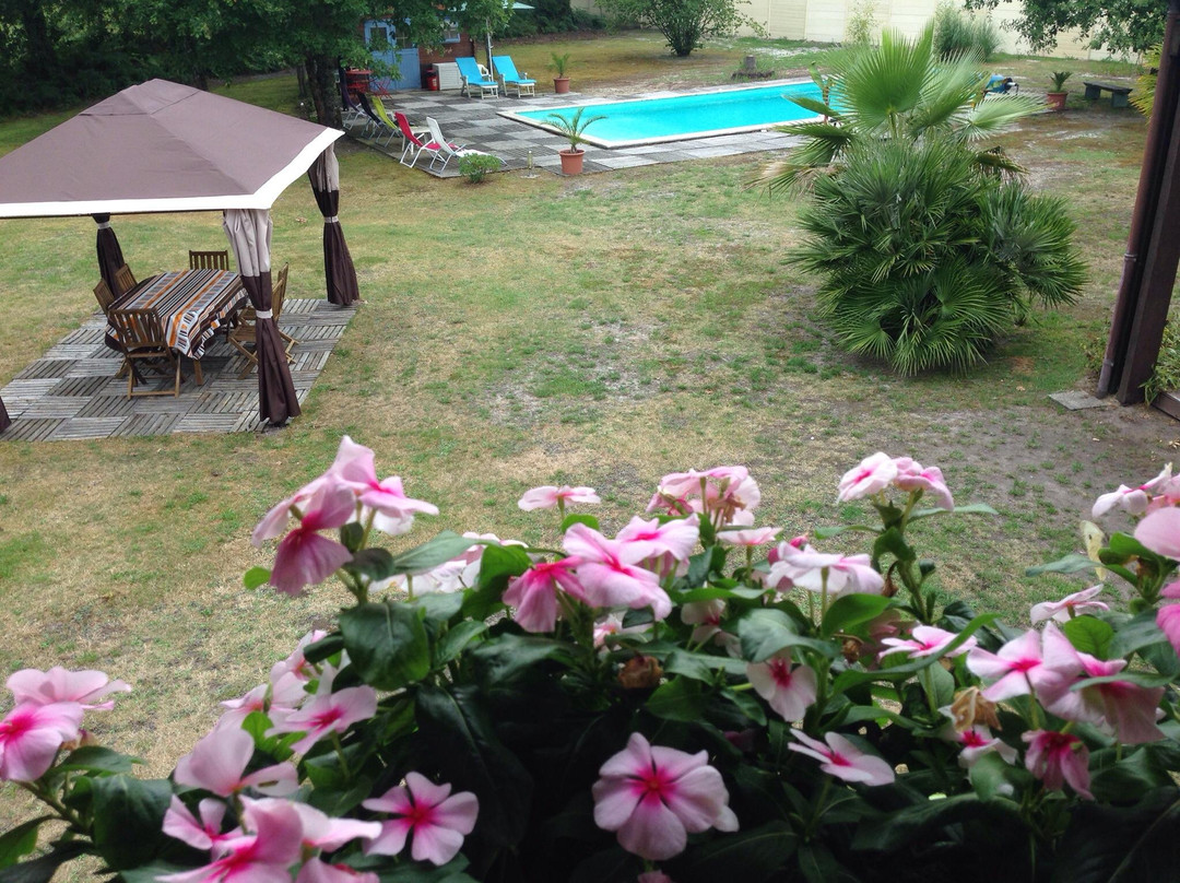 Athos-sillegue主图