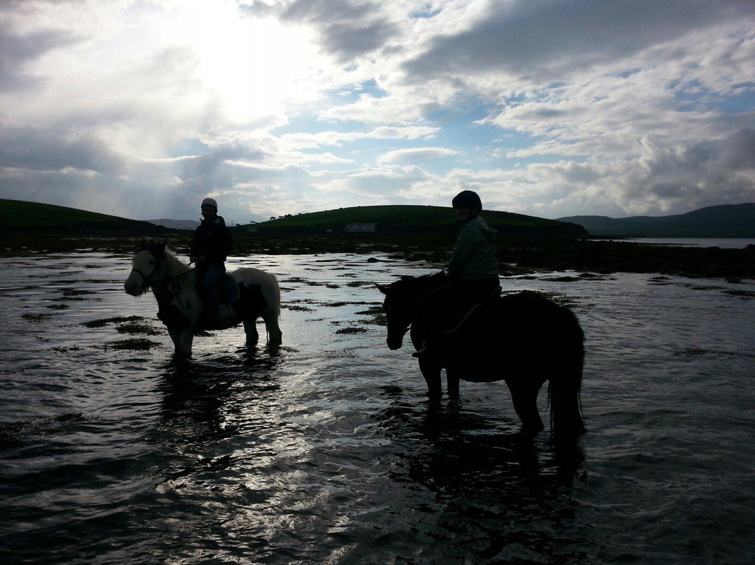 Carrowholly Stables & Trekking Centre景点图片