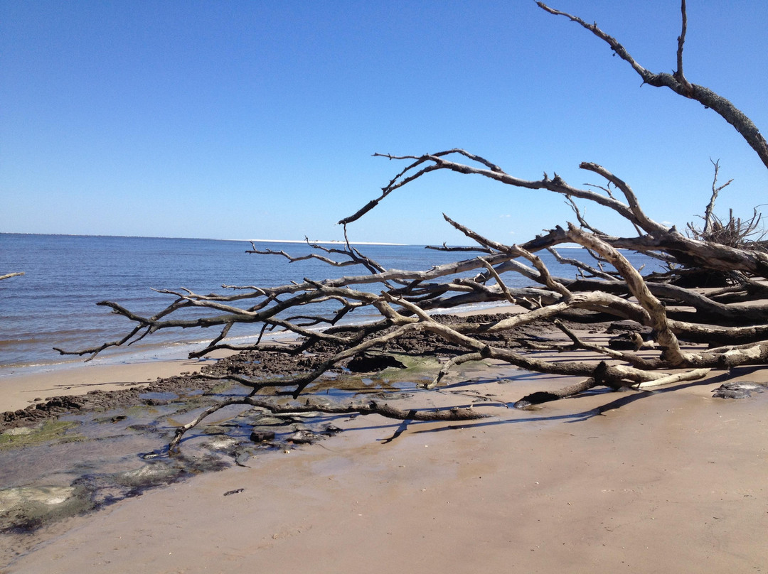 Big Talbot Island State Park-杰克逊维尔必去景点