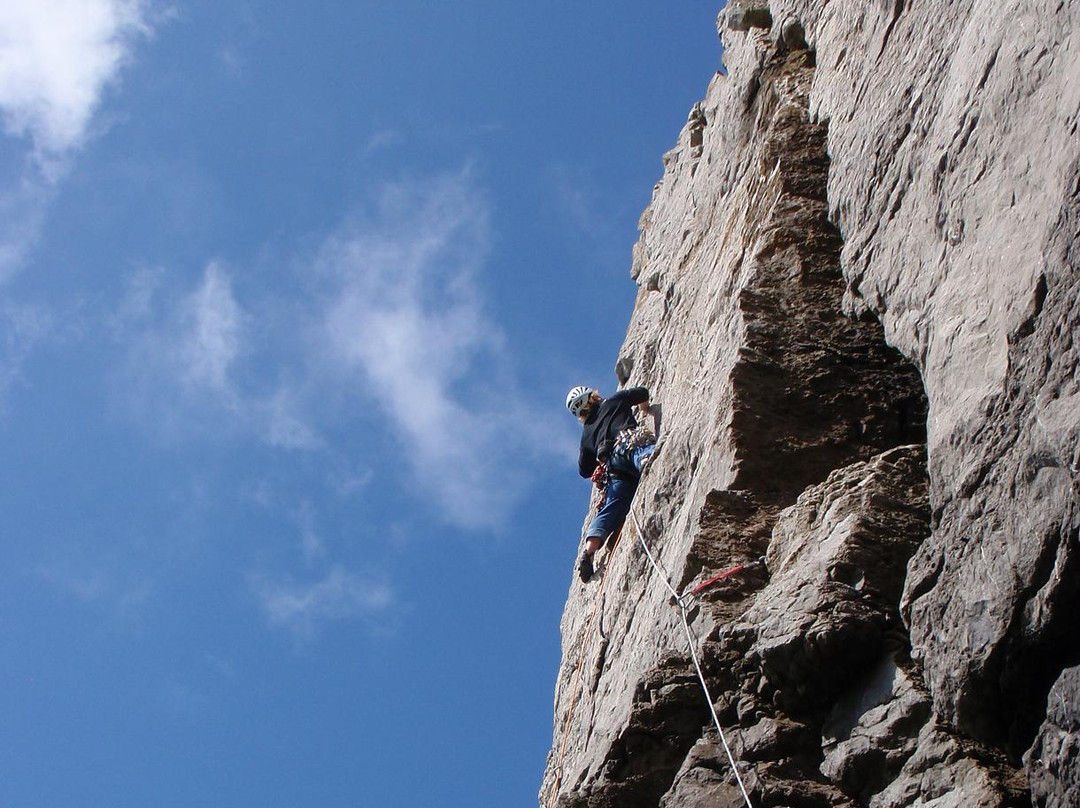 The Climbing Company景点图片