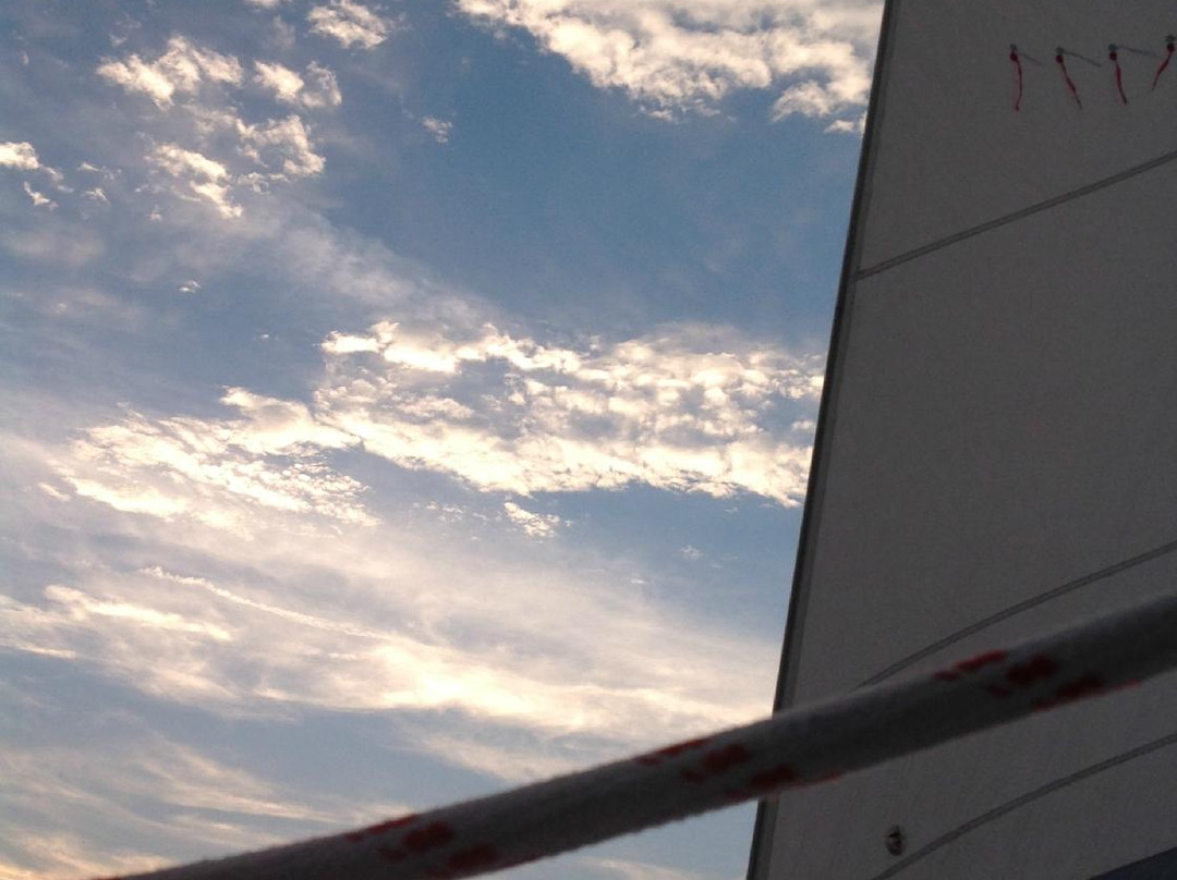 On The Wind Sailing Cruises-新伯尔尼必去景点