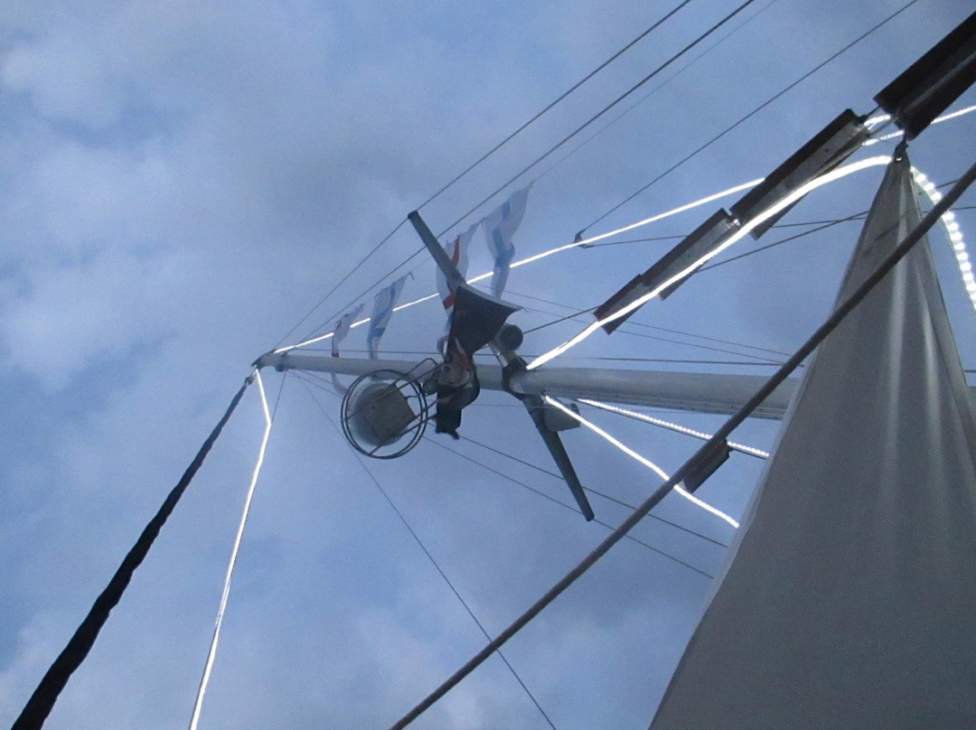 Larnaca Marina-拉纳加必去景点