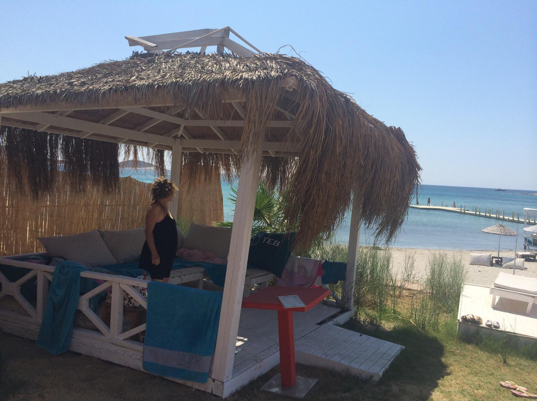 Mocca Beach景点图片