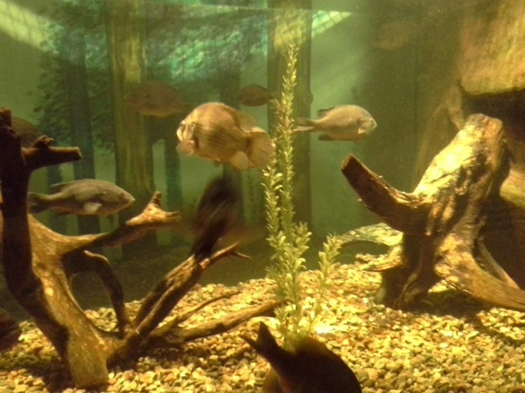 Schramm Education Center-Gretna必去景点