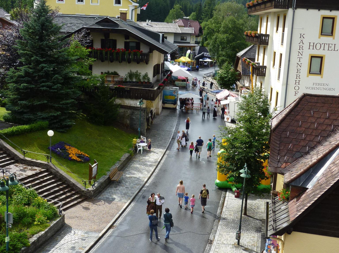 Alpina Appartements Mallnitz