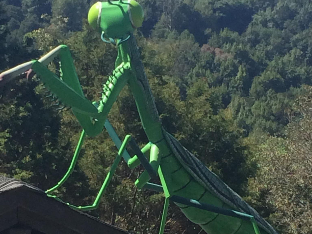 加州大学伯克利分校植物园-伯克利必去景点