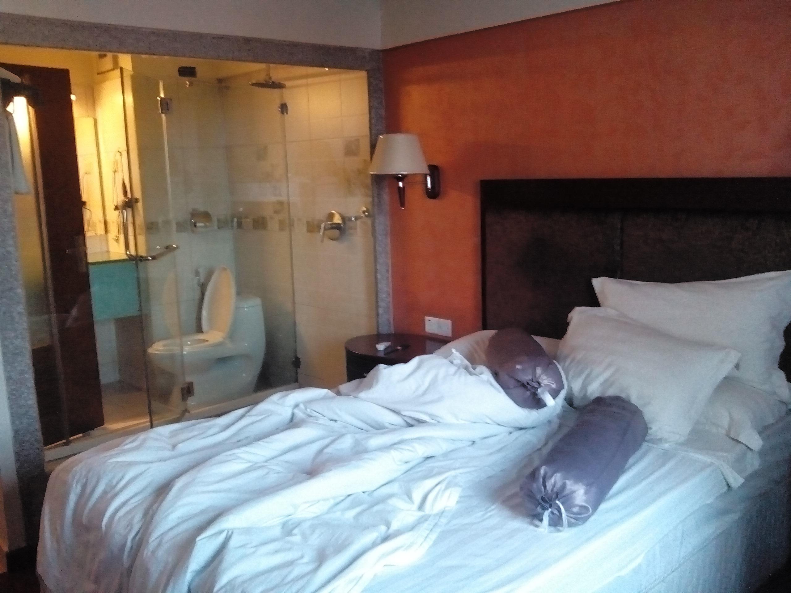 New Mwanza Hotel-客卧