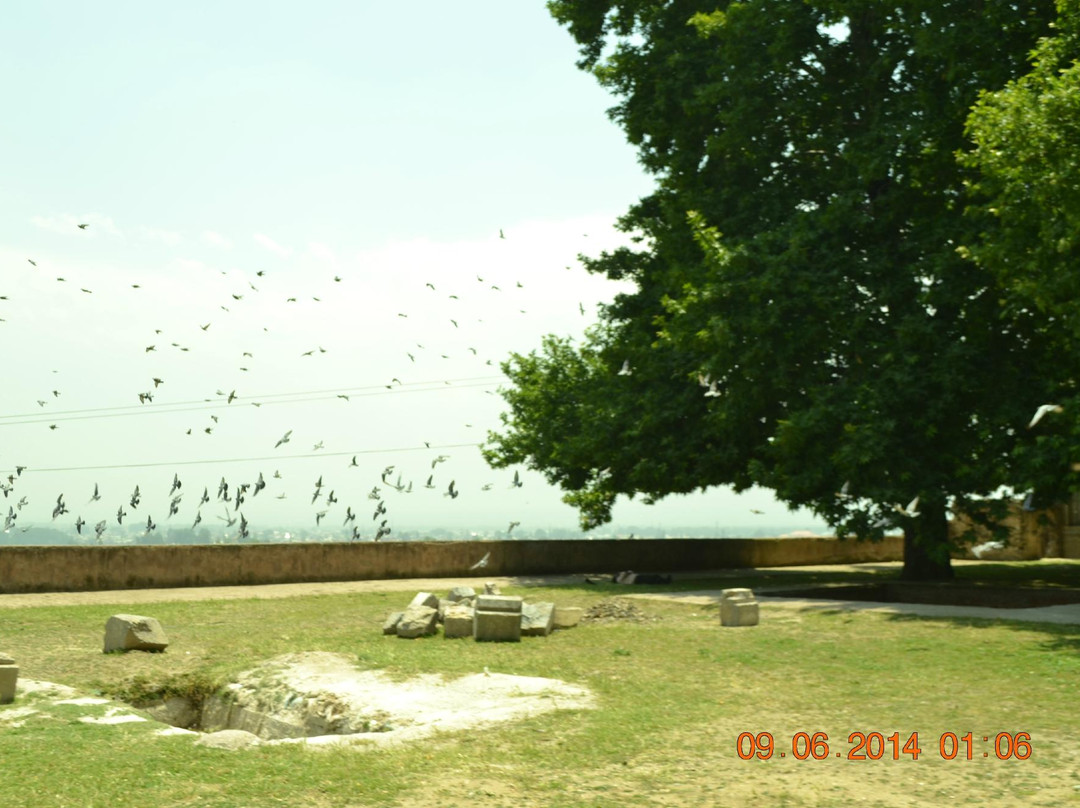 Makhdoom Sahib Shrine-斯利那加必去景点