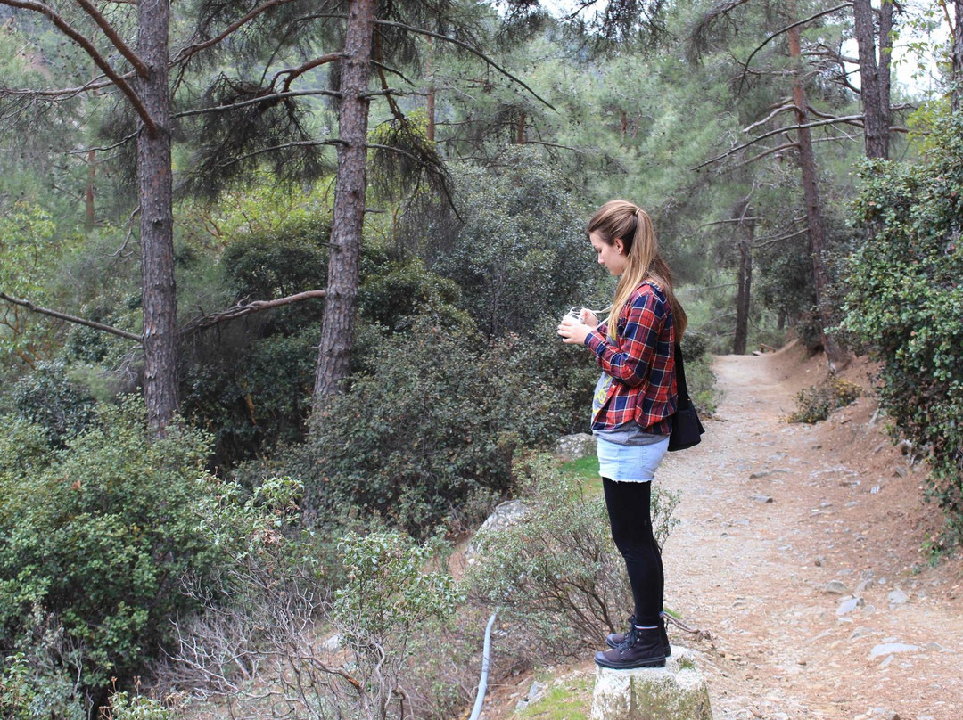 Discover Cyprus Day Tours-利马索尔必去景点