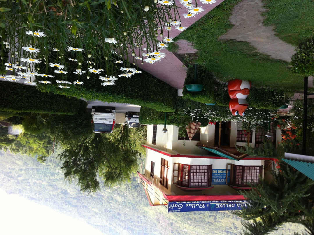 Hotel Baba Deluxe & Ballu's Cafe主图