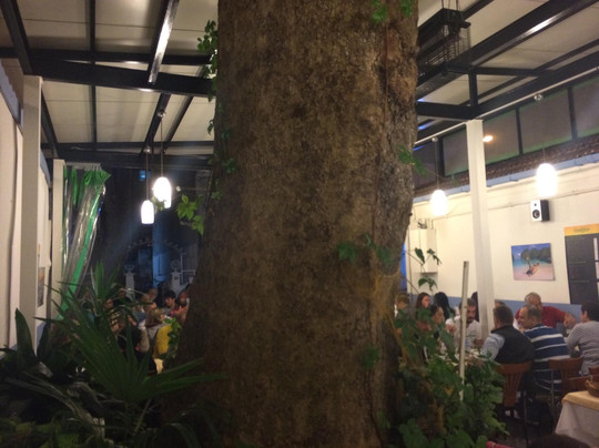 Kinaliada餐馆和美食-Çınaraltı Kuyu Restaurant