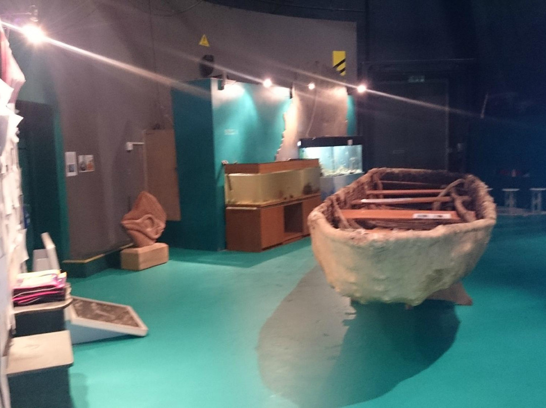 Ocean Lab - Sea Trust Wales-Goodwick必去景点