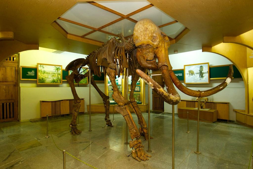 Zhytomyr Nature Museum