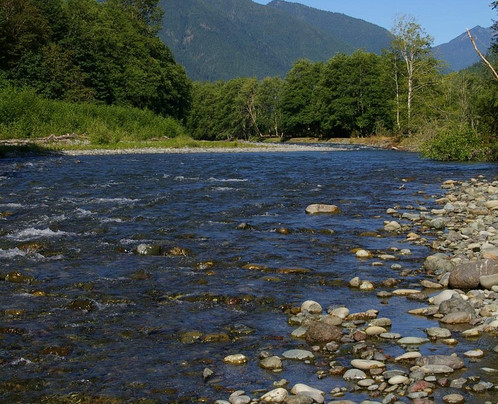 Elk Meadows Farm主图