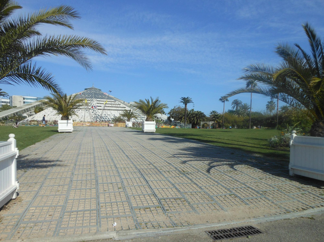 Parc Phœnix-尼斯必去景点