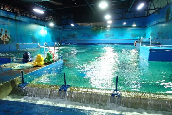 马尼拉海洋公园-马尼拉必去景点